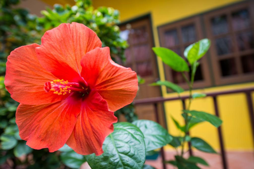 Janrassamee Home Stay Koh Chang Zewnętrze zdjęcie